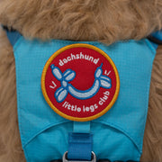 Dachshund Little Legs Club Patch – Accessories by K9 Sport Sack