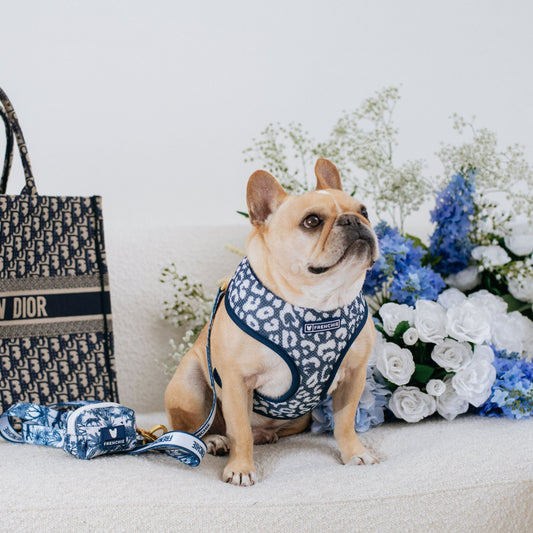 Final EDIT: Duo Reversible Dog Harness - Toile Blue – Dog Harnesses by Frenchie Bulldog