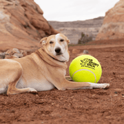 Too Big to Chew Tennis Ball Dog Toy – Dog Toys by K9 Sport Sack