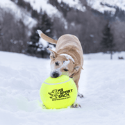 Too Big to Chew Tennis Ball Dog Toy – Dog Toys by K9 Sport Sack