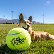 Too Big to Chew Tennis Ball Dog Toy – Dog Toys by K9 Sport Sack