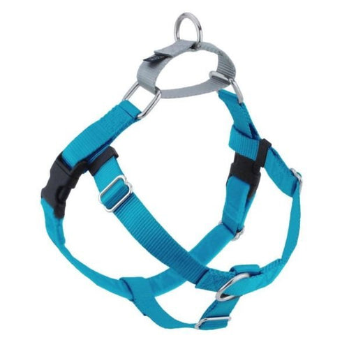 Turquoise Freedom No - Pull Dog Harness – Dog Harnesses by 2 Hounds Design