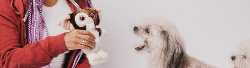 Best Dog Toys of 2024: Top 10 Paws-Down Favorites - Wuforia