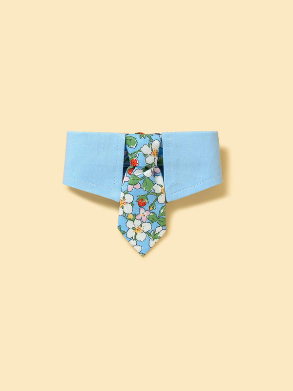 Blue Botanique Necktie Bandana