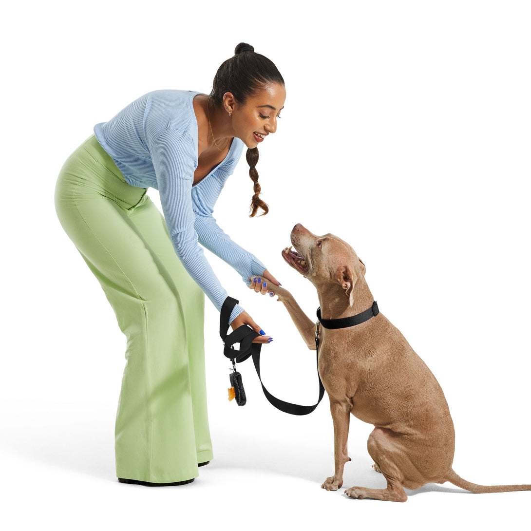 2 Dog Collar Kit. with Poop Bag Holder – Bundles by JUST FRED.