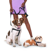 2 Dog Harness Kit. with Poop Bag Holder – Bundles by JUST FRED.