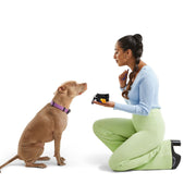 2 Dog Waste Dog Poop Bag Pouch. – Dog Poop Bags & Dispensers by JUST FRED.