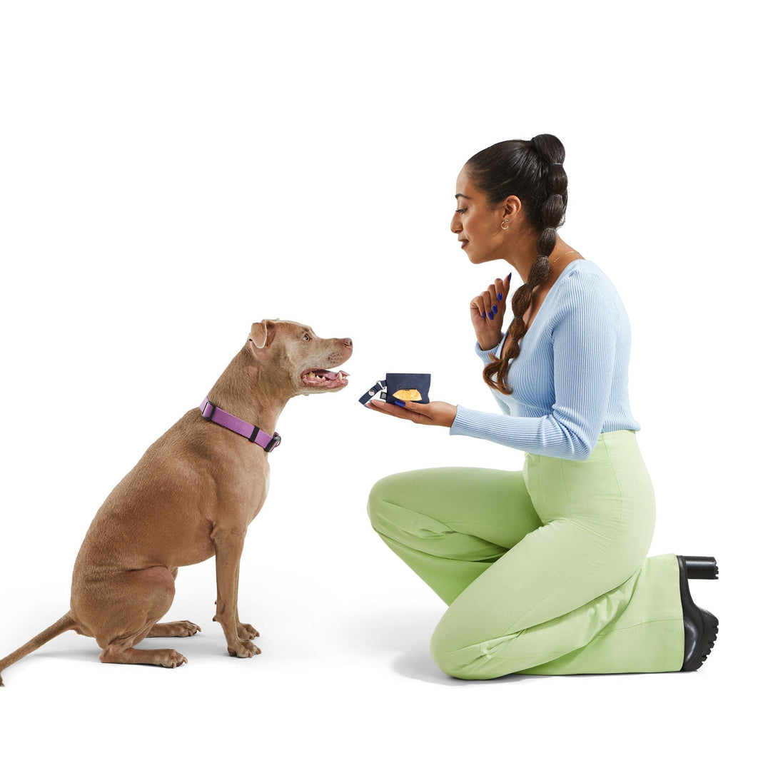 2 Dog Waste Dog Poop Bag Pouch. – Dog Poop Bags & Dispensers by JUST FRED.