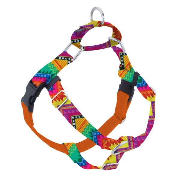 2 Hounds Design BFF (Best Friends Forever) Freedom No-Pull Dog Harness – EarthStyle