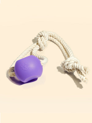 BallRope Dog Chew Toy