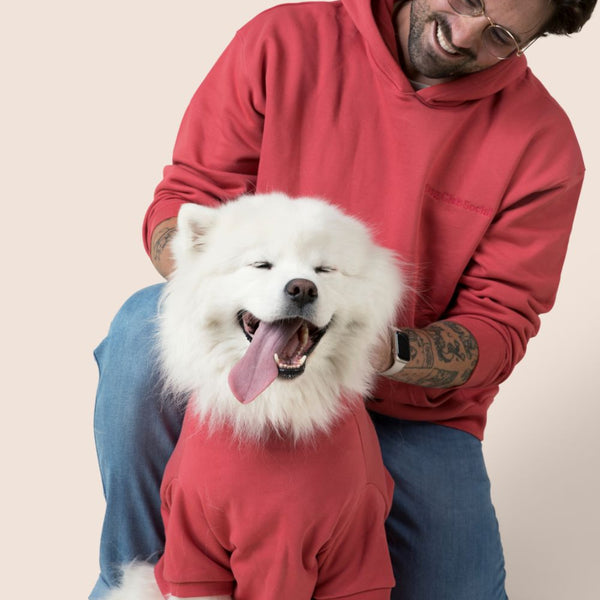 Perfect Hoodie - Matching Dogs & Unisex