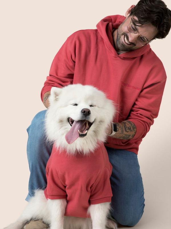 Perfect Hoodie - Matching Dogs & Unisex