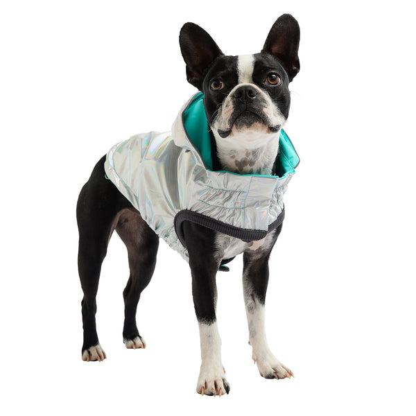Reversible Dog Raincoat - Neon Aqua with Iridescent