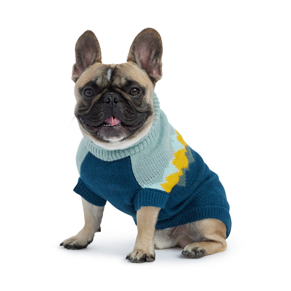 Fireside Dog Sweater - Teal