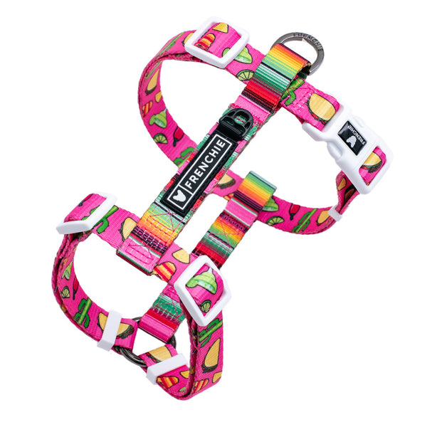 Frenchie Strap Dog Harness - Taco Tuesday - Pink