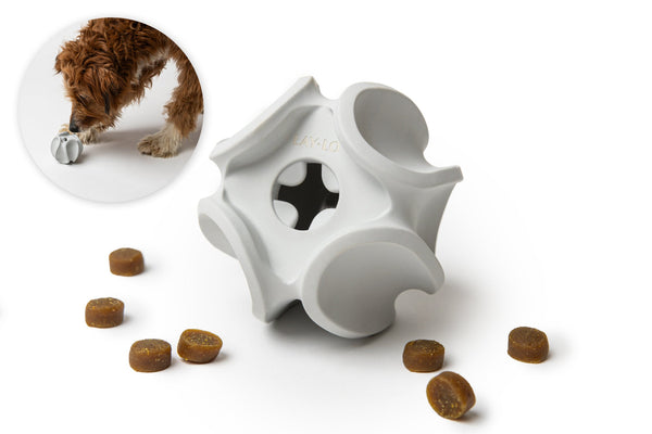 Treat Dispensing Rubber Toy