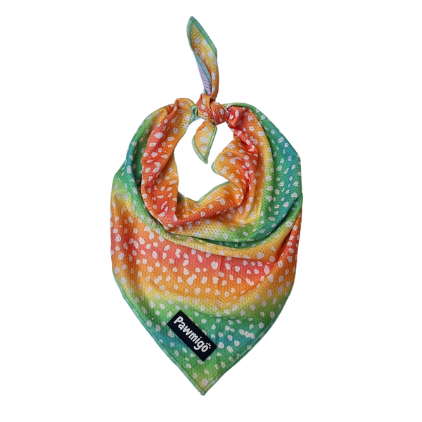 Chasing Rainbows Cooling Dog Bandana