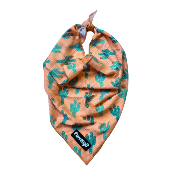 Succa For You Cooling Dog Bandana
