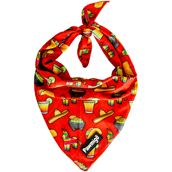 Taco Tuesday Cooling Dog Bandana
