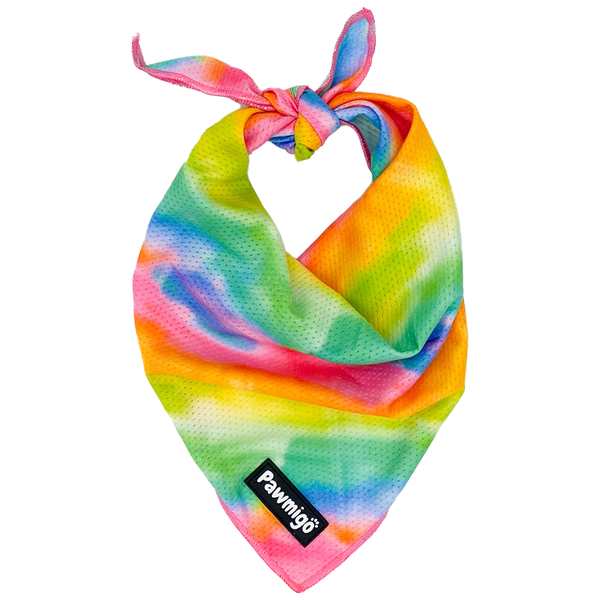 Tie-Dye For Cooling Dog Bandana