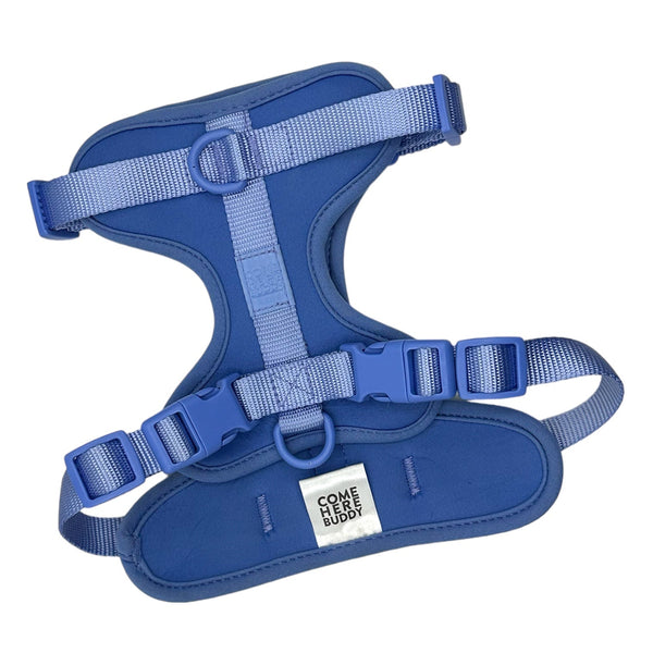 Dog Harness