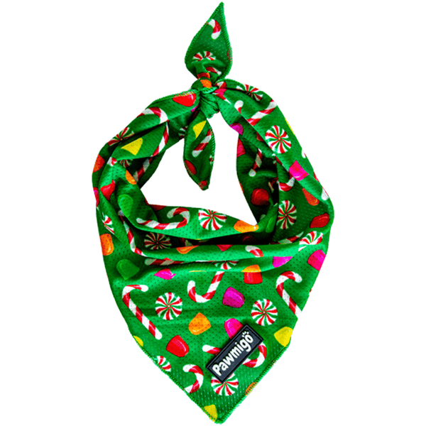 Puppermint Cooling Dog Bandana