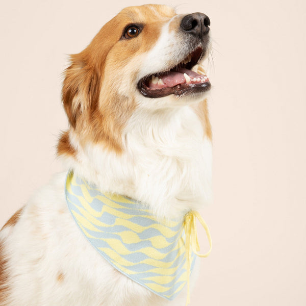 Seaside Swirl Cotton Knitted Dog Bandana