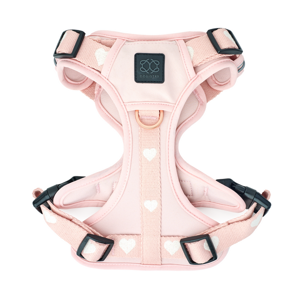 The NoMad Adjustable Luxe Dog Harness - Sweetheart