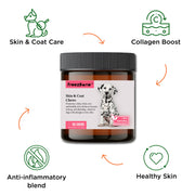 Allergy & Immune Chews (90 Chews) Dog Vitamin Supplement – Dog Vitamins & Supplements by Freezbone