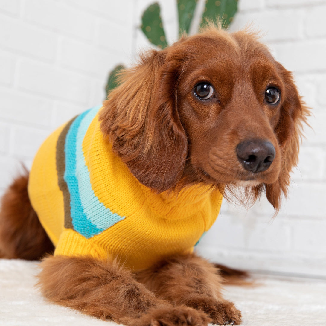Alpine Sweater - Yellow - Wūforia