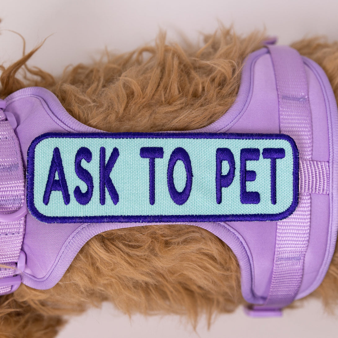 Ask to Pet 2x6 Patch – Accessories by K9 Sport Sack