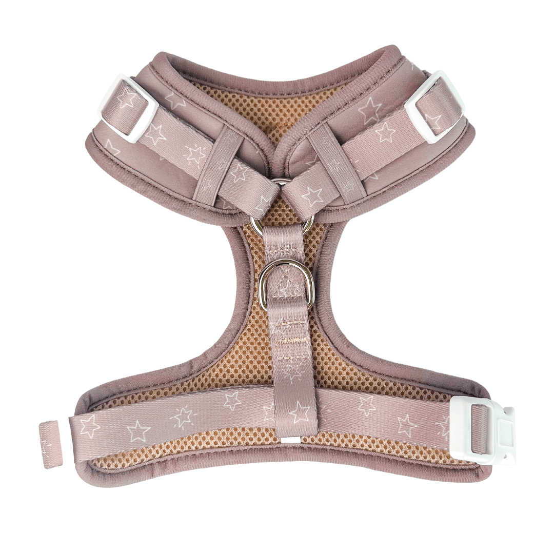 Asteria Adjustable Harness - Wūforia