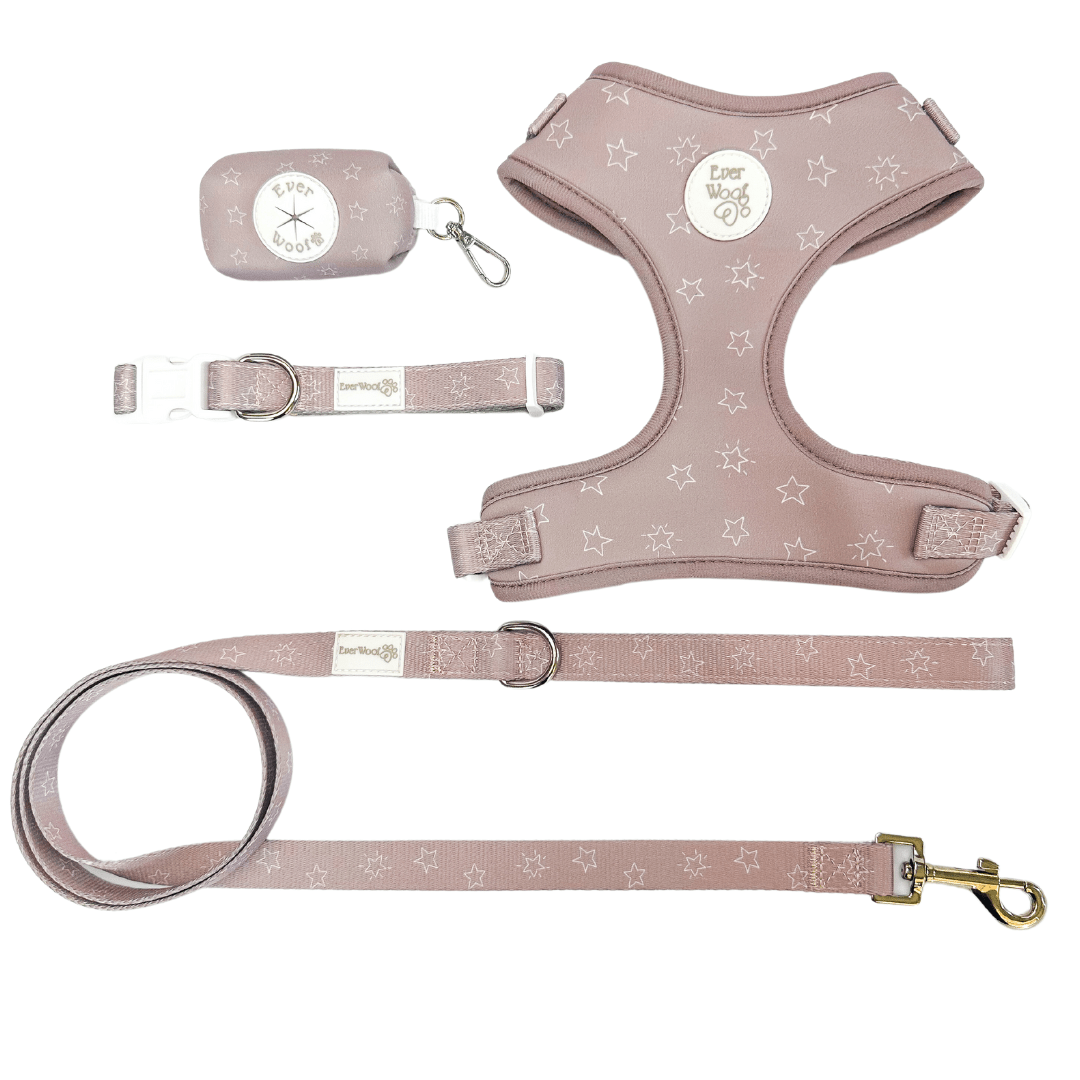 Asteria Adjustable Harness - Wūforia