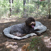 Bed 'n a Bag Travel Dog Bed – Dog Outdoor & Travel Gear by Carolina Pet Co.