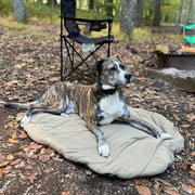 Bed 'n a Bag Travel Dog Bed – Dog Outdoor & Travel Gear by Carolina Pet Co.