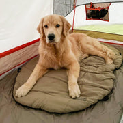 Bed 'n a Bag Travel Dog Bed – Dog Outdoor & Travel Gear by Carolina Pet Co.