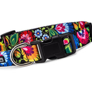 Blackbird Dog Collar and Leash – Bundles by LuckyLoveDog