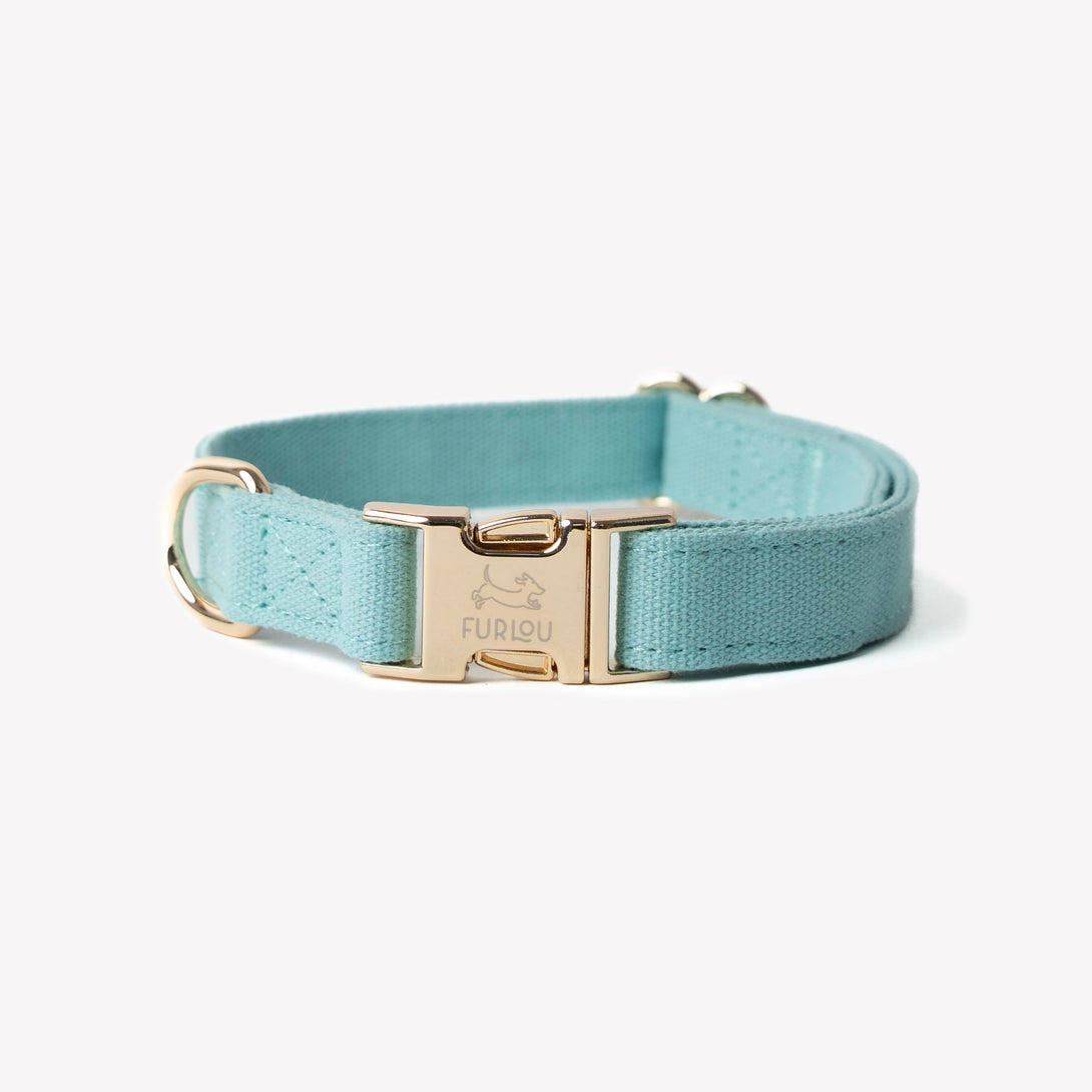 Blue - Canvas Dog Collar – Dog Collars by FURLOU