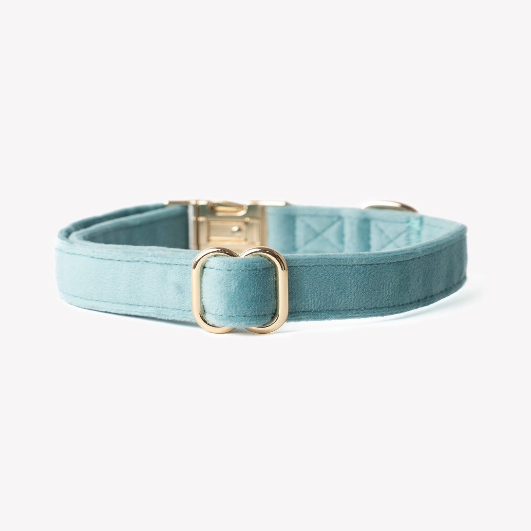 Blue - Velvet Dog Collar – Dog Collars by FURLOU