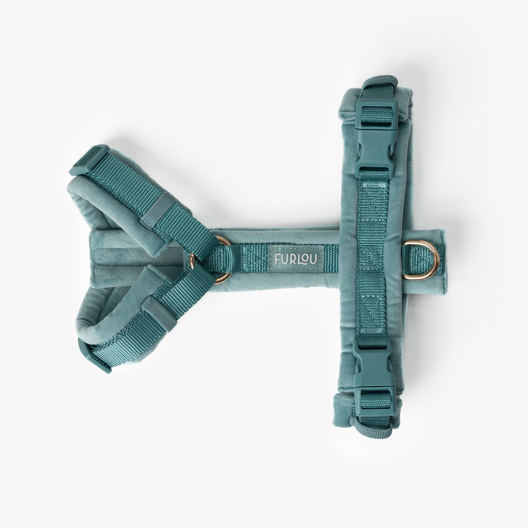 Blue - Velvet Dog Harness – Dog Harnesses by FURLOU