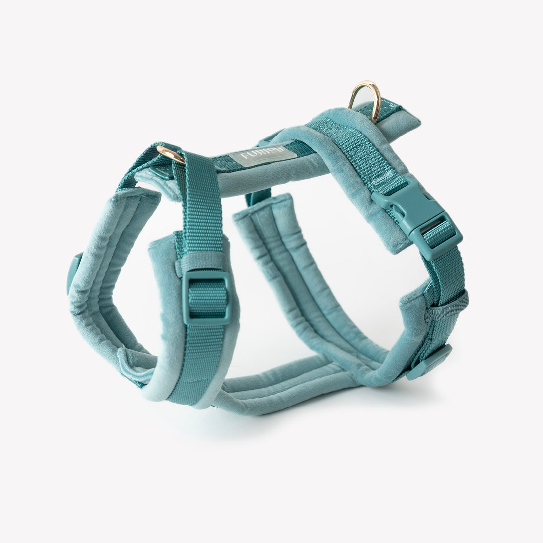 Blue - Velvet Dog Harness – Dog Harnesses by FURLOU