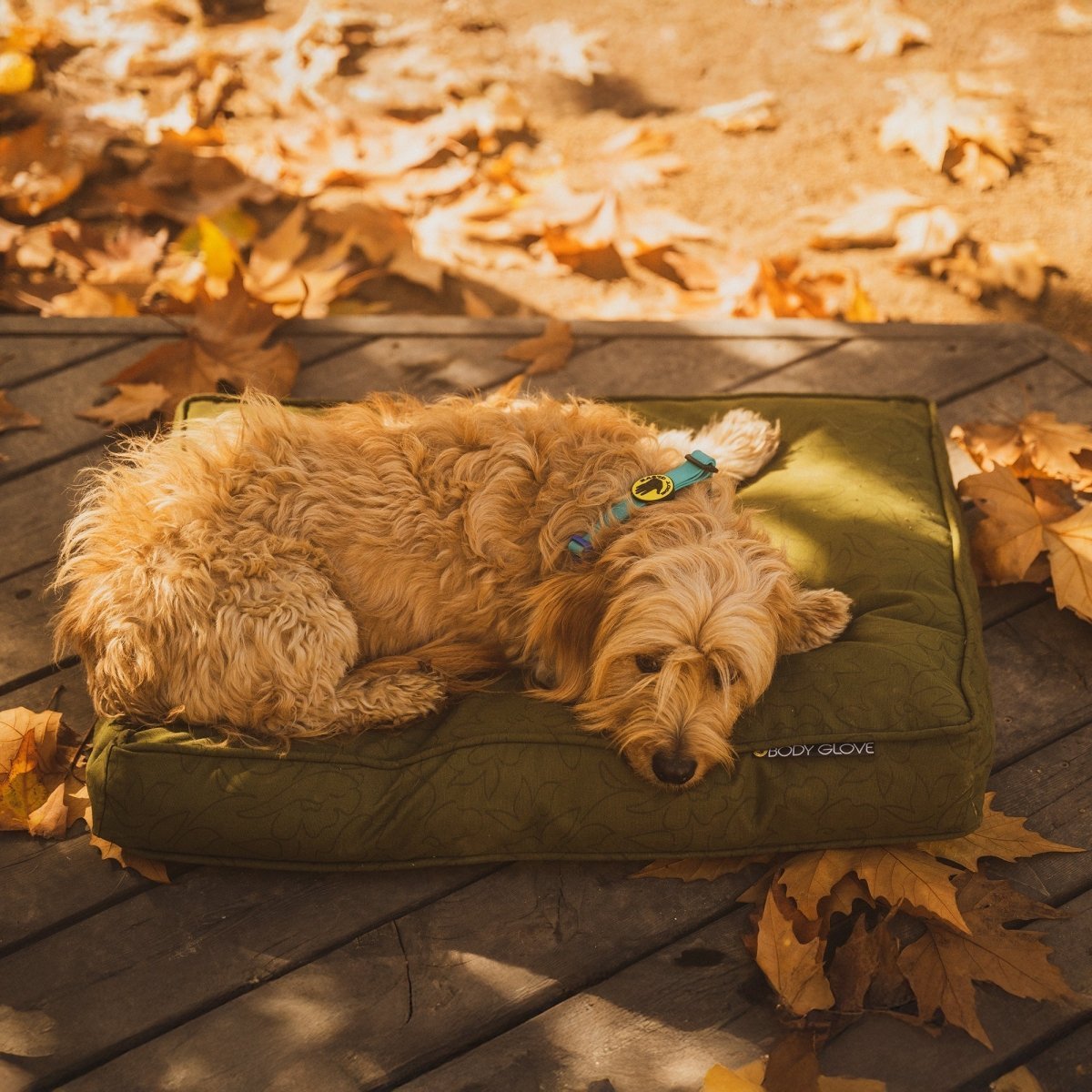 Body Glove Paintflower Pet Napper Dog Bed – Wuforia