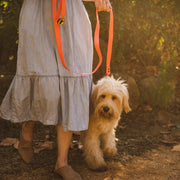 Body Glove Waterproof Dog Leash – Dog Leashes by Body Glove