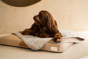 Brigette Romanek | Luxury Pet Throw Dog Blanket - Cream – Dog Blankets by LAY LO Pets