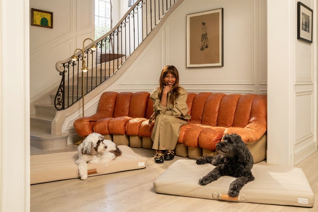 Brigette Romanek | Luxury Pet Throw Dog Blanket - Cream – Dog Blankets by LAY LO Pets