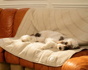 Brigette Romanek | Luxury Pet Throw Dog Blanket - Cream – Dog Blankets by LAY LO Pets