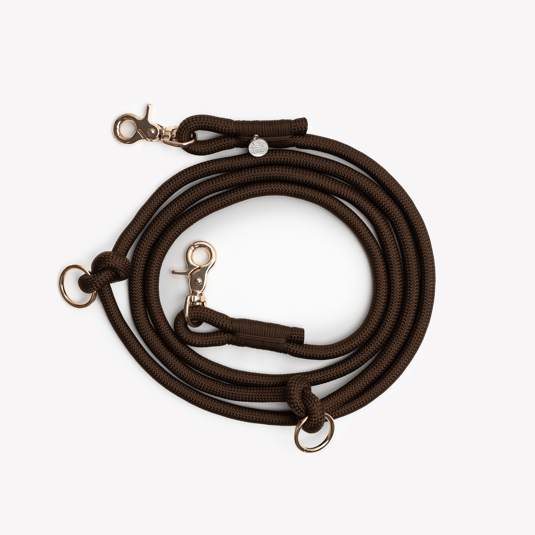 Brown - Hands Free Braided Dog Leash – Dog Leashes by FURLOU