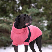 Catalyst Colorblock Dog Sweater – Sweaters & Hoodies by GF Pet.us