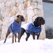 Catalyst Colorblock Dog Sweater – Sweaters & Hoodies by GF Pet.us