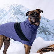 Catalyst Colorblock Dog Sweater – Sweaters & Hoodies by GF Pet.us
